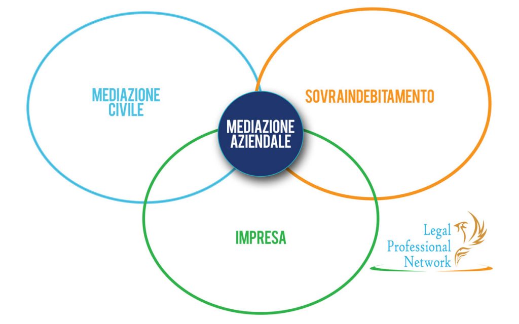 Casella di testo: Mediazione civile e commerciale erciale